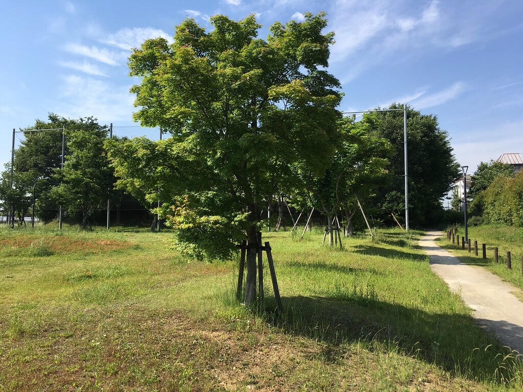 もみじやま公園の写真1