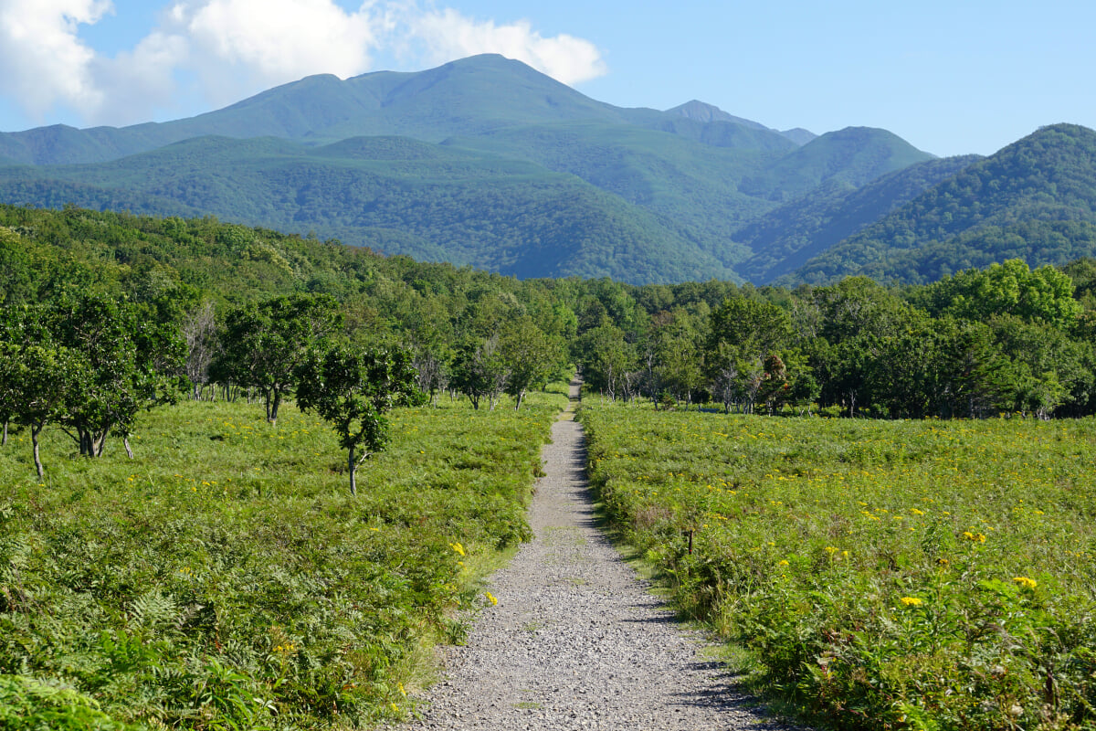 フレぺの滝の写真6