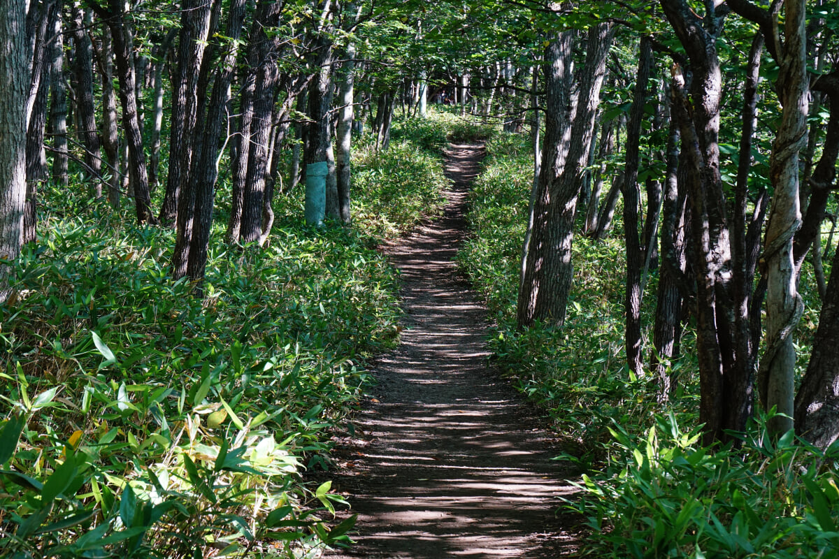 フレぺの滝の写真8