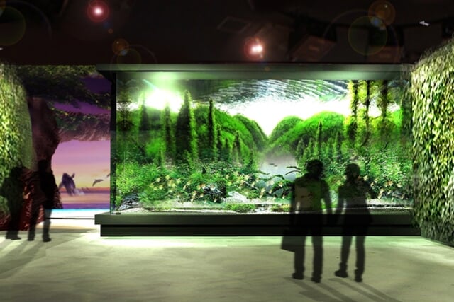 DMMかりゆし水族館の写真2