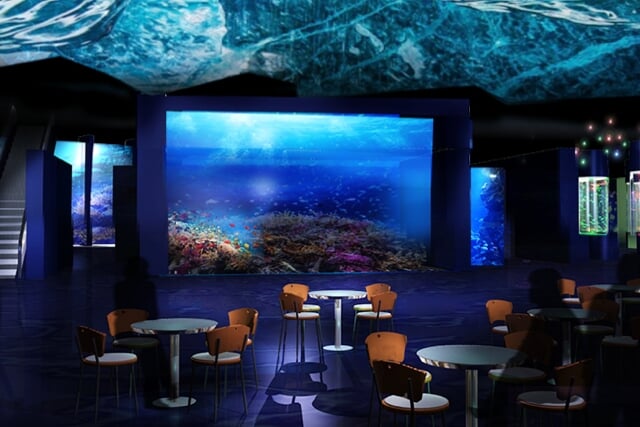 DMMかりゆし水族館の写真3