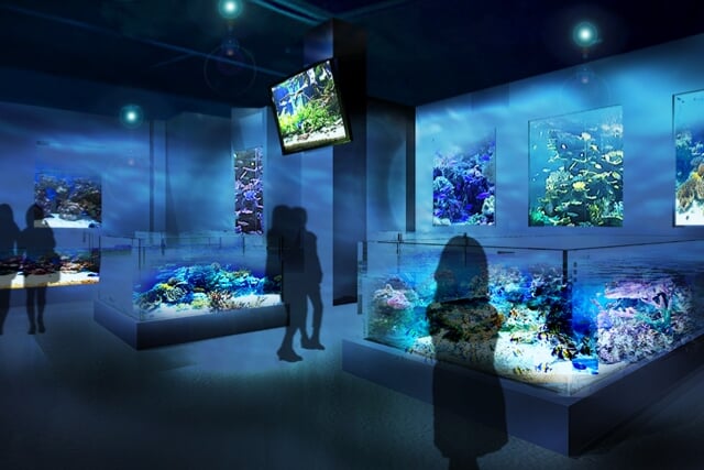 DMMかりゆし水族館の写真5