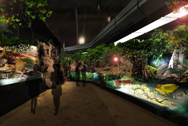 DMMかりゆし水族館の写真6