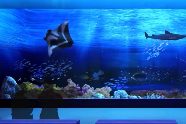 DMMかりゆし水族館の写真7