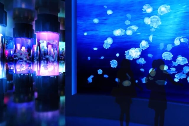 DMMかりゆし水族館の写真8