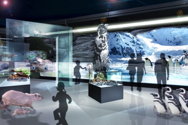 DMMかりゆし水族館の写真9