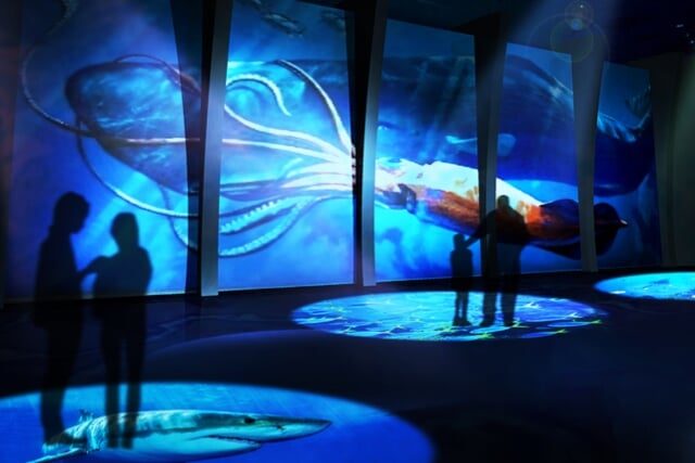 DMMかりゆし水族館の写真11