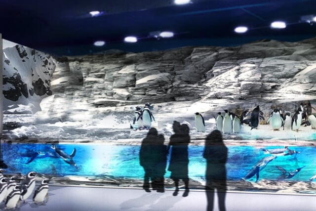 DMMかりゆし水族館の写真1