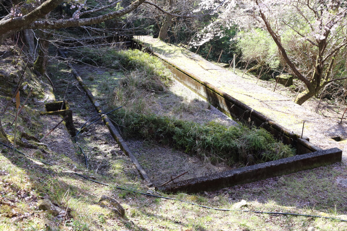 夕陽の丘公園の写真2