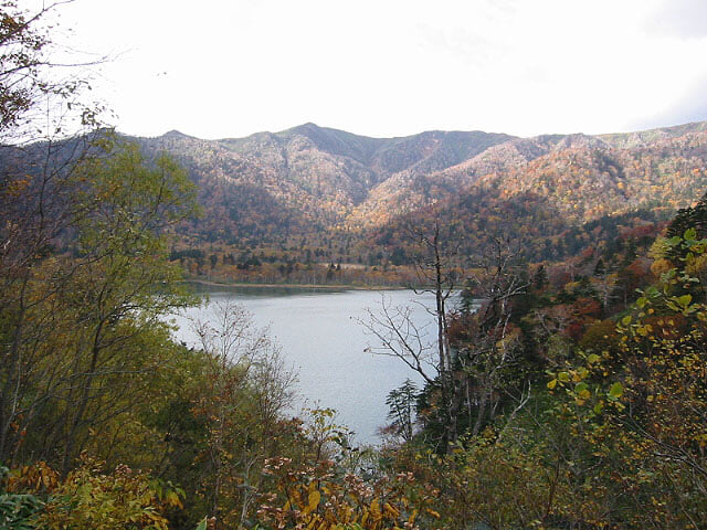 オコタンペ湖の写真3