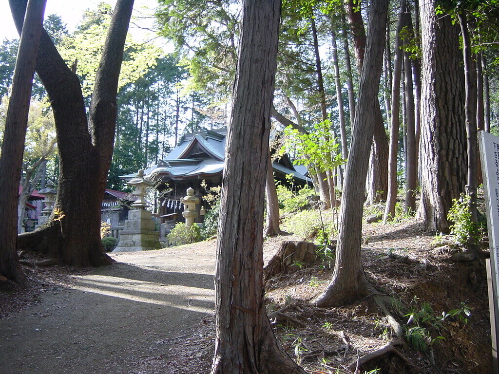 トトロの森の写真2