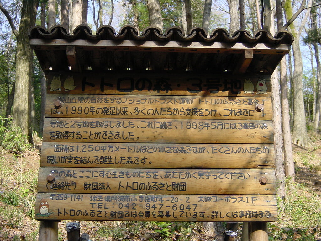 トトロの森の写真5