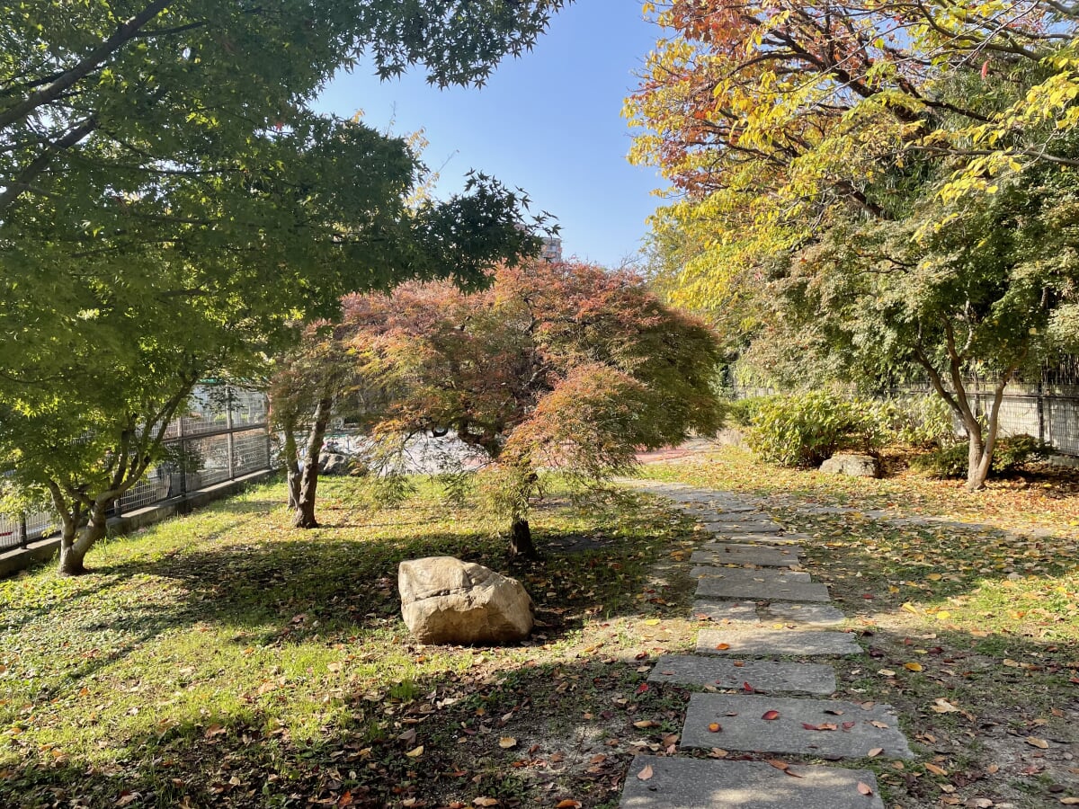 御殿山公園の写真2