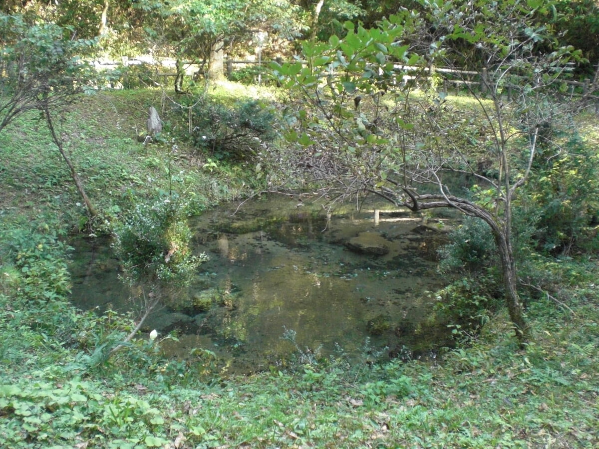 塩釜冷泉の写真2