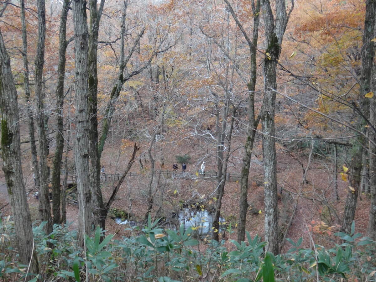 塩釜冷泉の写真3