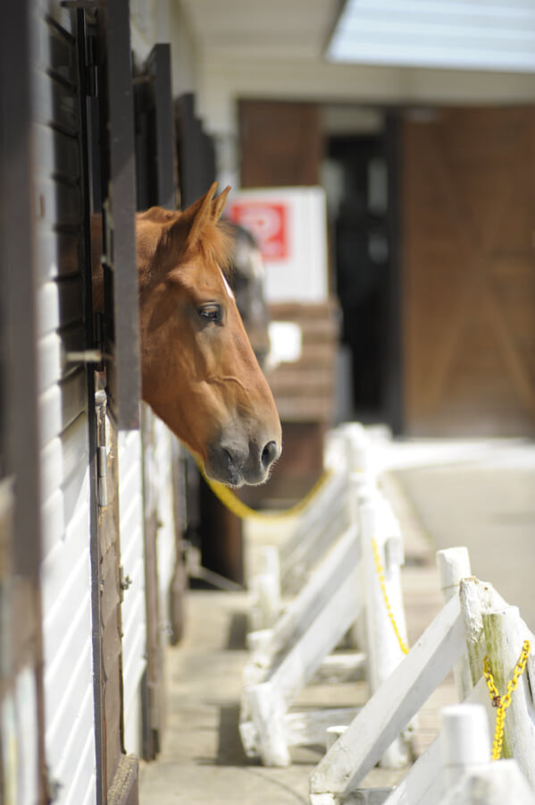 牧歌の里の写真4