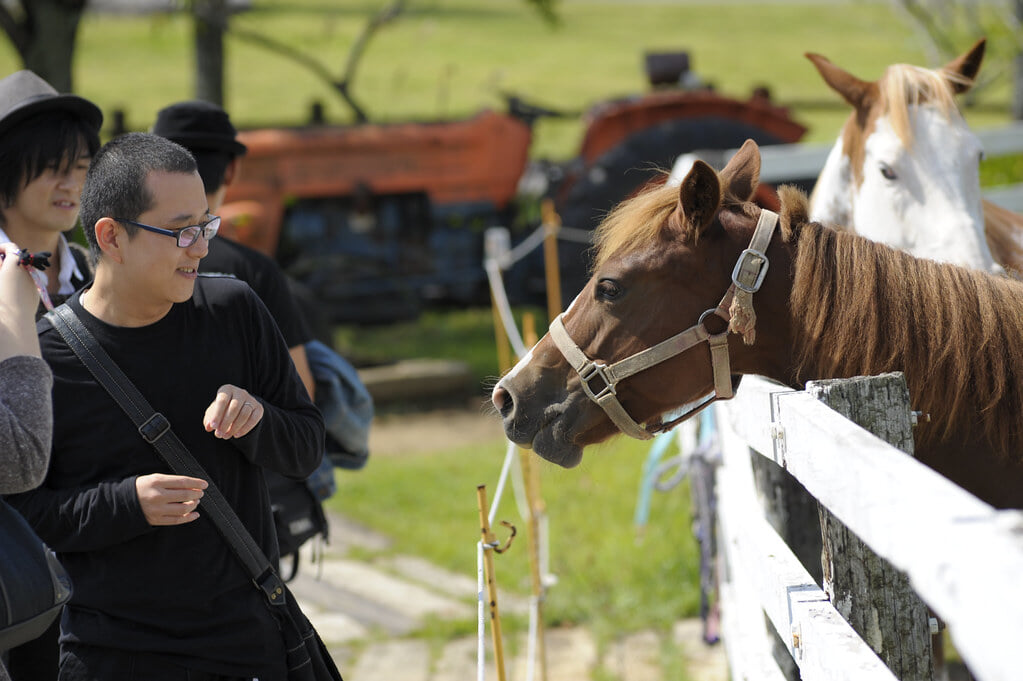 牧歌の里の写真7
