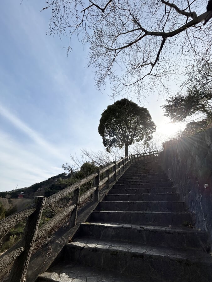 月見の森の写真3