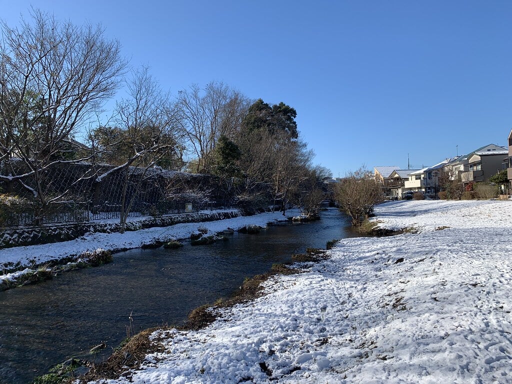 落合川いこいの水辺の写真10