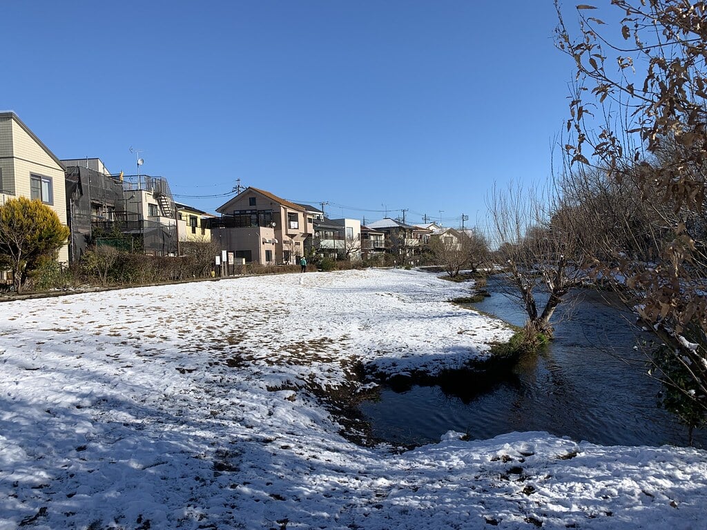 落合川いこいの水辺の写真11