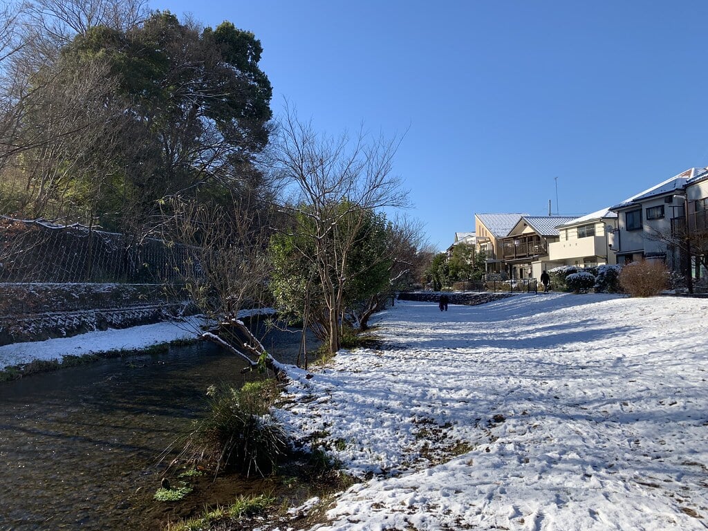 落合川いこいの水辺の写真12