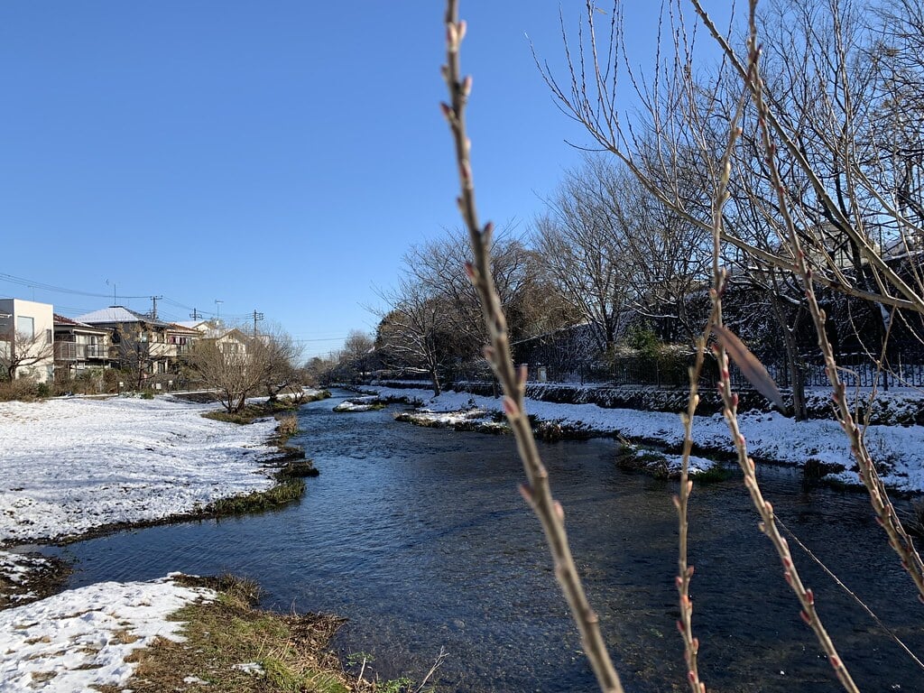落合川いこいの水辺の写真13