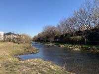 落合川いこいの水辺