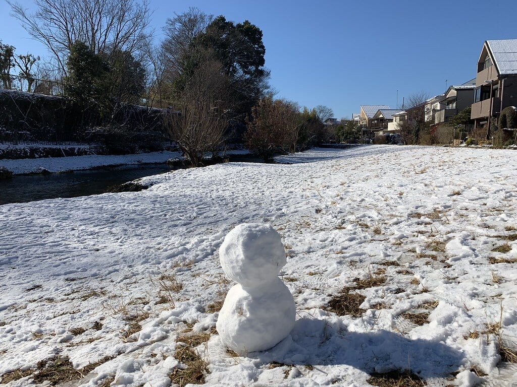 落合川いこいの水辺の写真14
