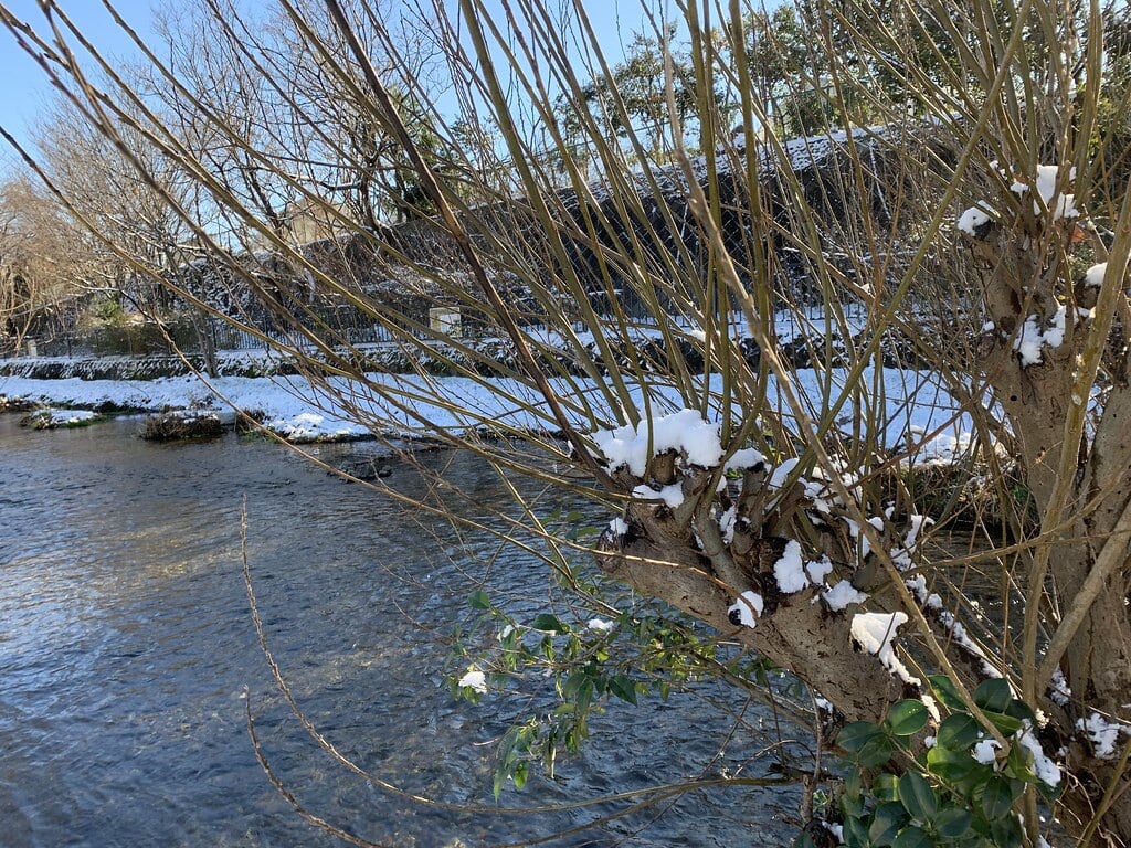 落合川いこいの水辺の写真15