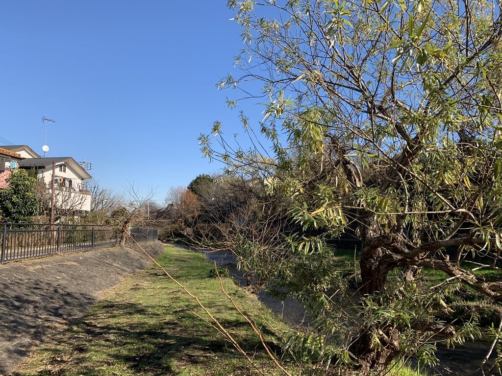 落合川いこいの水辺の写真17