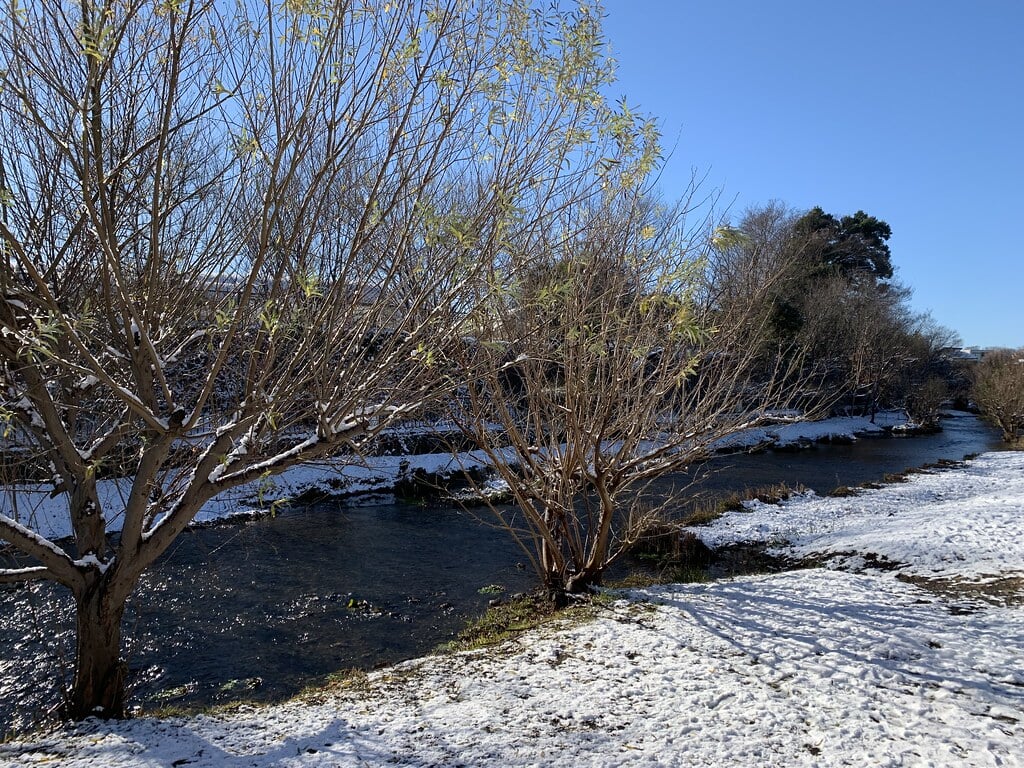 落合川いこいの水辺の写真18