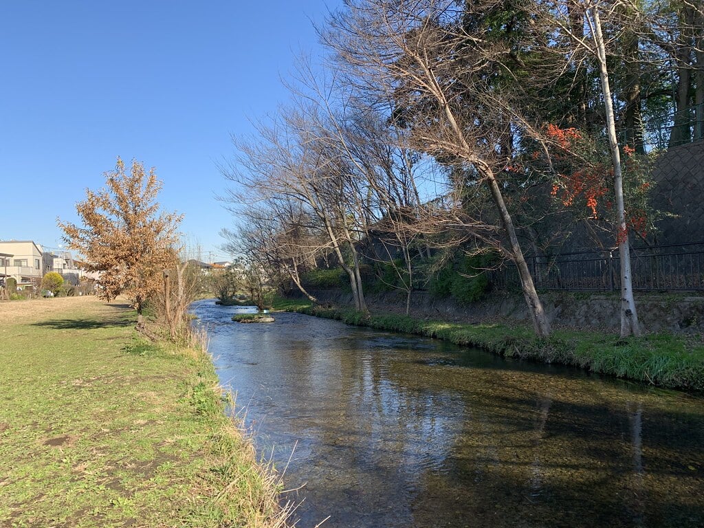 落合川いこいの水辺の写真19