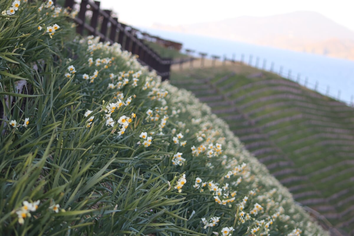 長崎のもざき恐竜パークの写真2