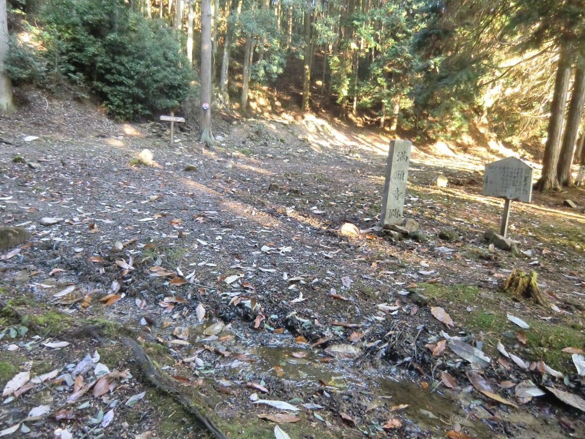 郡山城跡の写真2