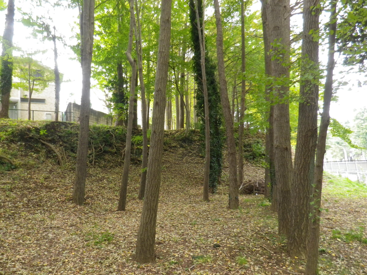 茂呂遺跡の写真2