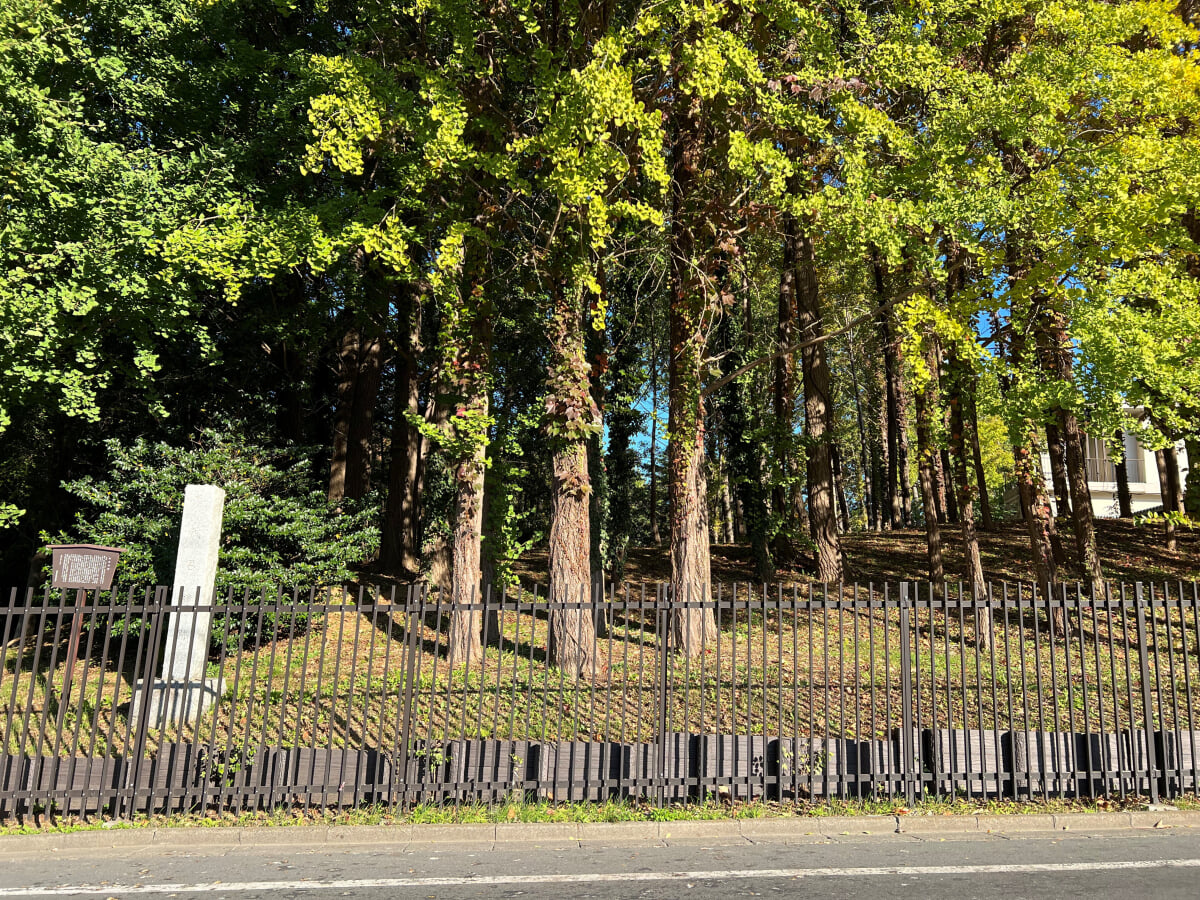 茂呂遺跡の写真1