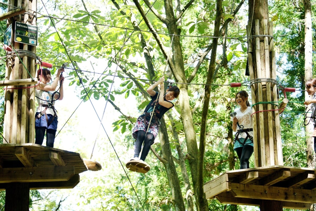 ボウケンノモリ いとしろの写真1