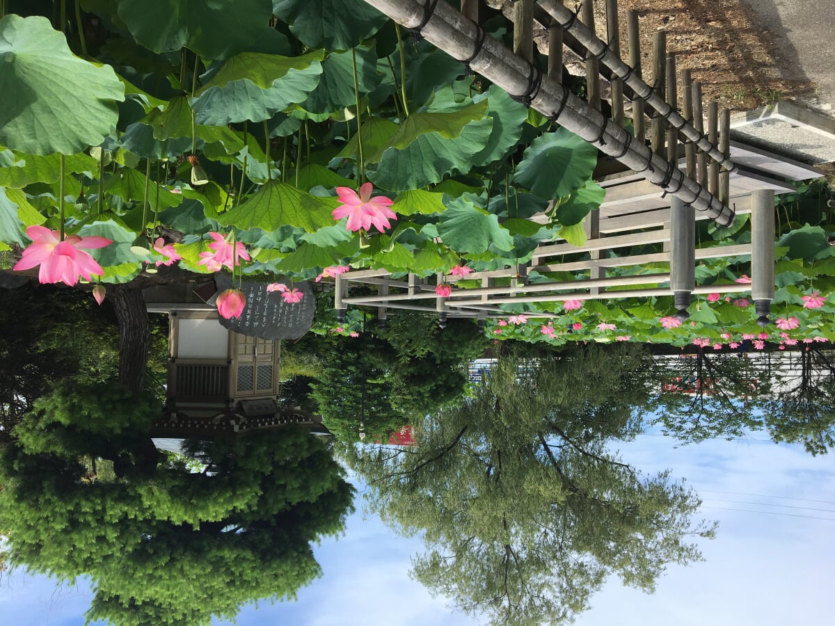 雪梁舎美術館の写真1