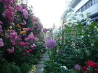 六甲アイランドリバーモール