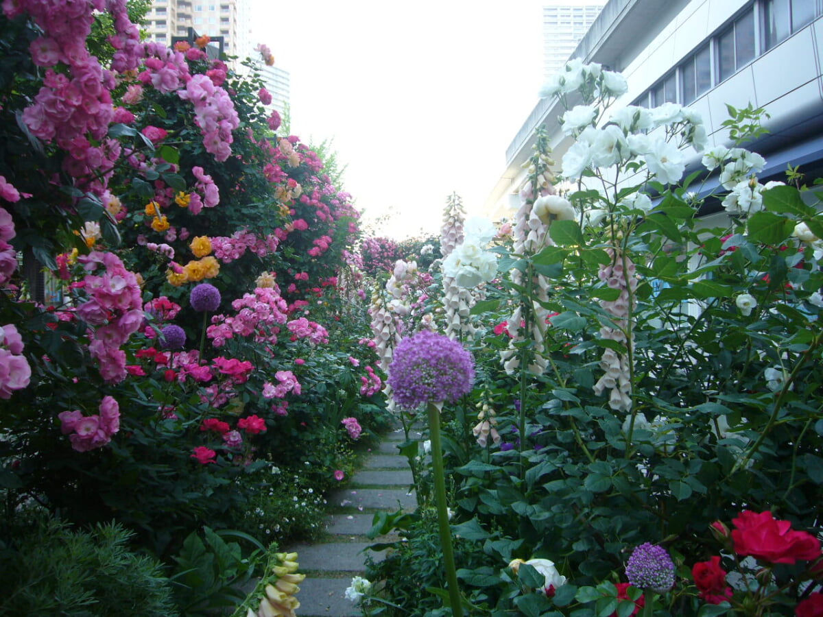 六甲アイランドリバーモールの写真1