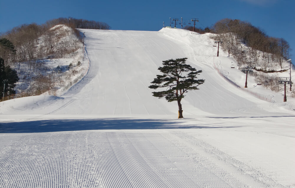 みやぎ蔵王 セントメリースキー場の写真3