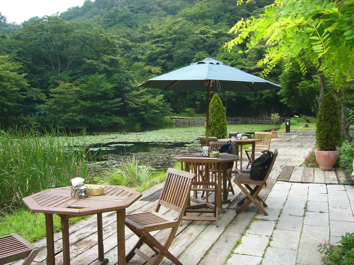 ROKKO森の音ミュージアムの写真2