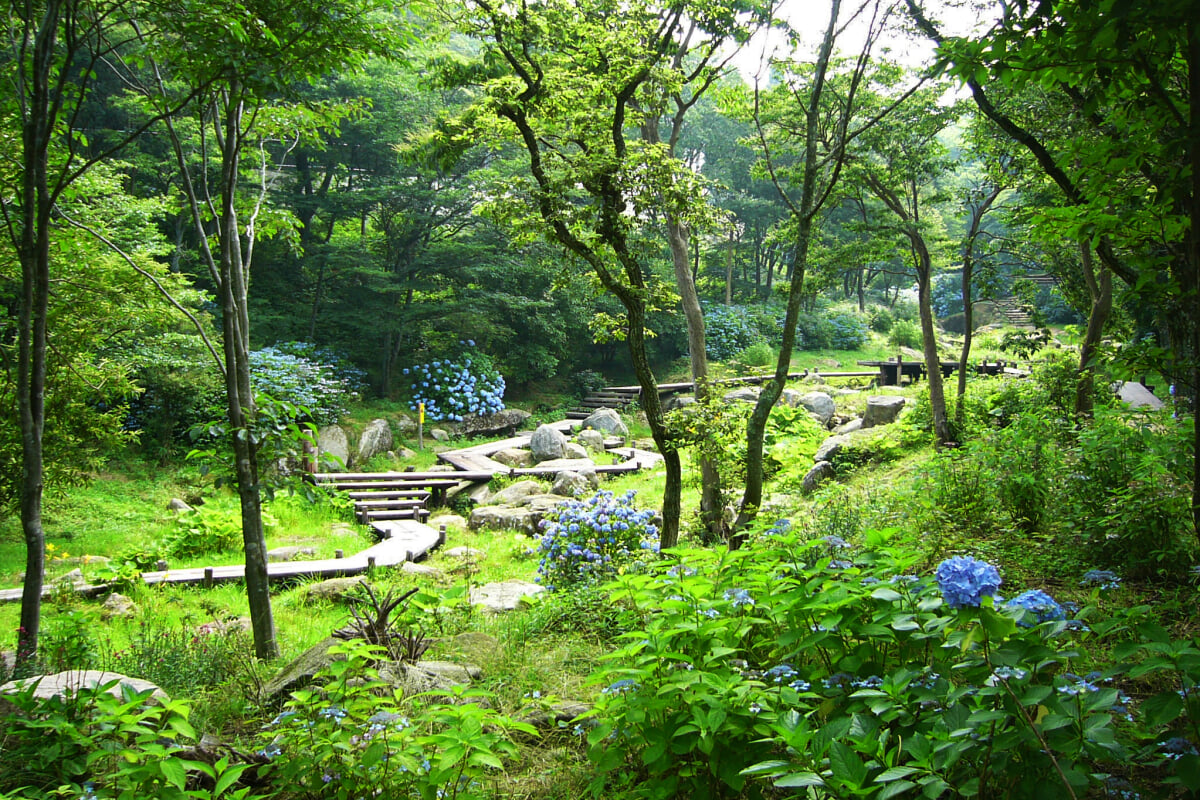 ROKKO森の音ミュージアムの写真7