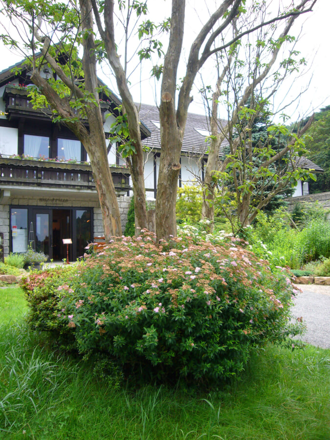 ROKKO森の音ミュージアムの写真14