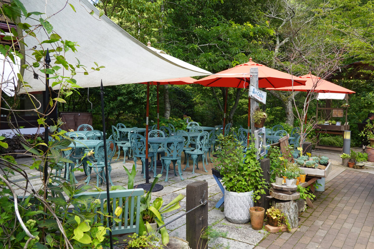 ROKKO森の音ミュージアムの写真15