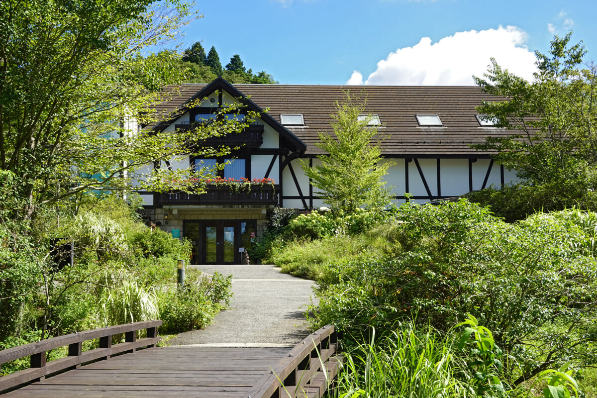 ROKKO森の音ミュージアムの写真18