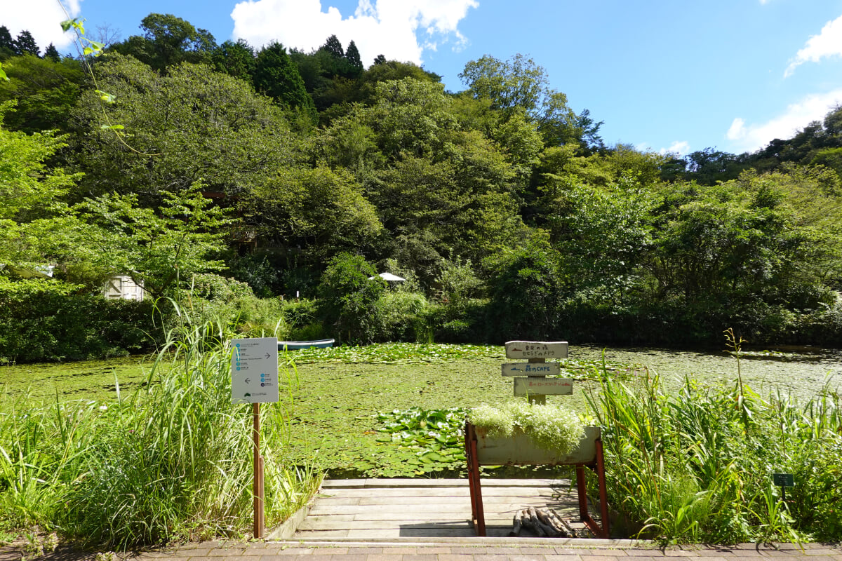 ROKKO森の音ミュージアムの写真19