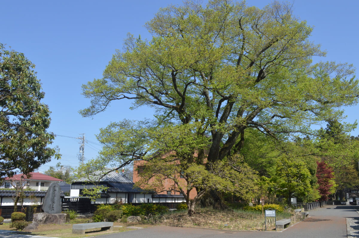 飯田市美術博物館の写真10