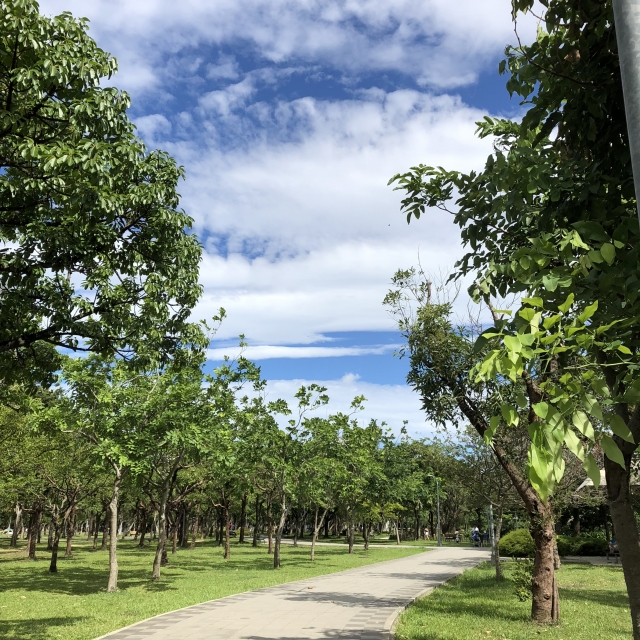 大安森林公園の写真1