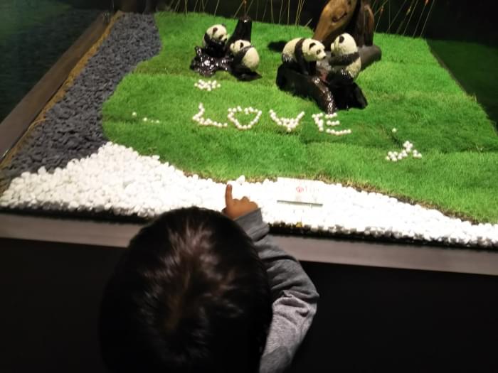 台北101展望台の写真3